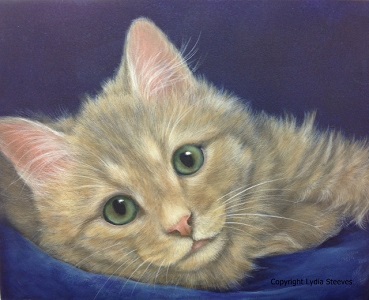 Little Frankie Acrylic e-Packet